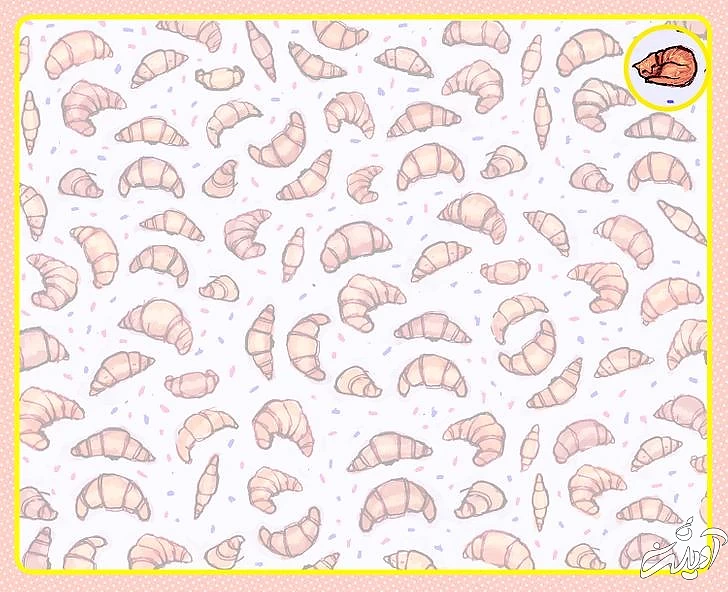 چند معمای تصویری برای آنهایی که توجه و دقت زیادی دارند